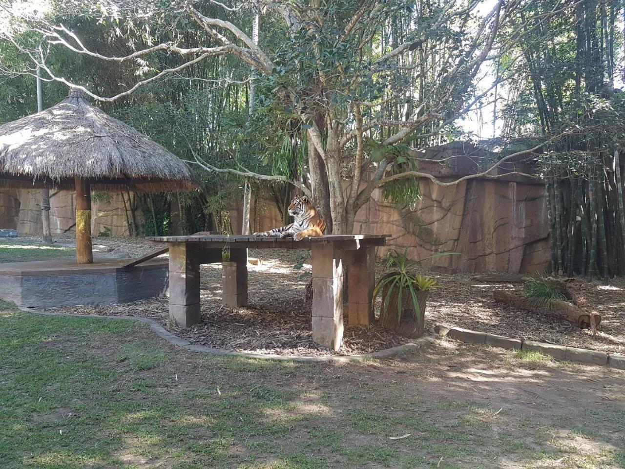 הוילה Beerwah House מראה חיצוני תמונה